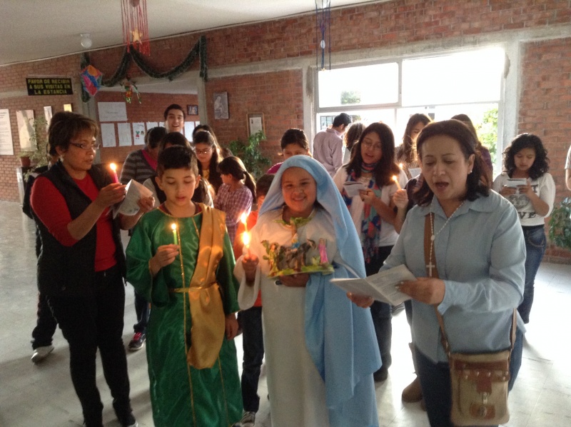 Diciembre 2014 Area VI 